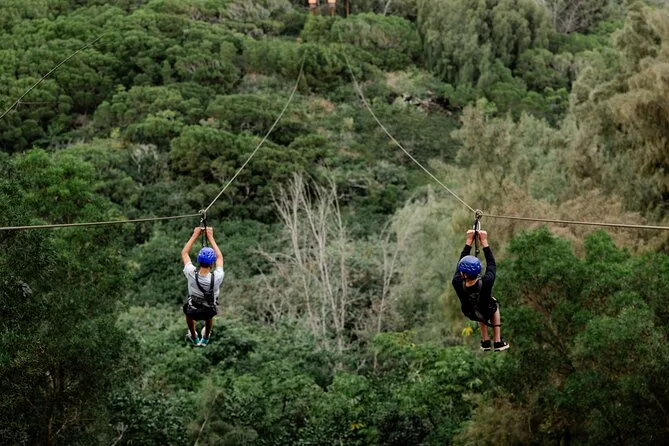 Two zipliners on long lines above green forest